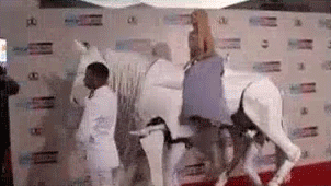 yahooentertainment:  On a Horse: Lady Gaga arrives at the 2013 American Music Awards.