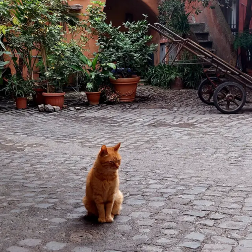 One Of The Most Characteristic Views Of Rome