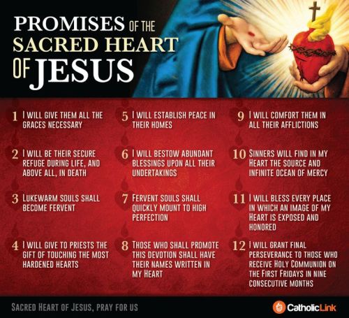 anastpaul:As June is the Month of the Sacred Heart of Jesus Let us remind ourselves of the Promises 