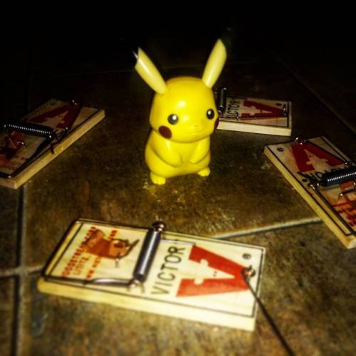 Is This Pokemon Go ?