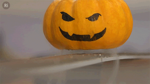 did-you-kno:  ri-science:  LEVITATING PUMPKINS! “And the cursed pumpkin rose up