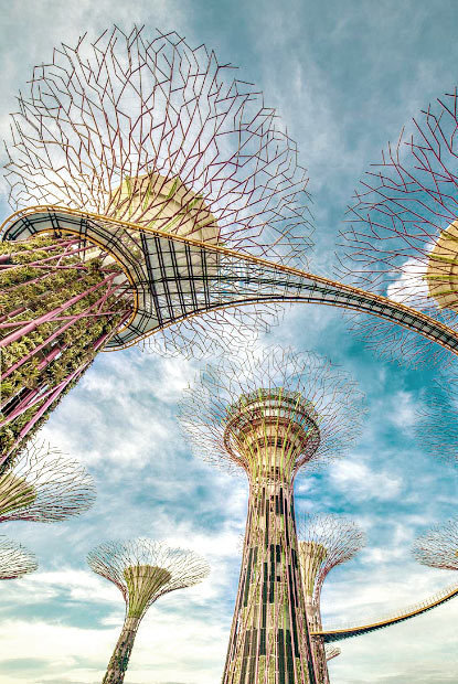 Canopy of Man-Made Solar-Powered Supertrees in Singapore