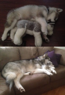 awwww-cute: All grown up and still in love