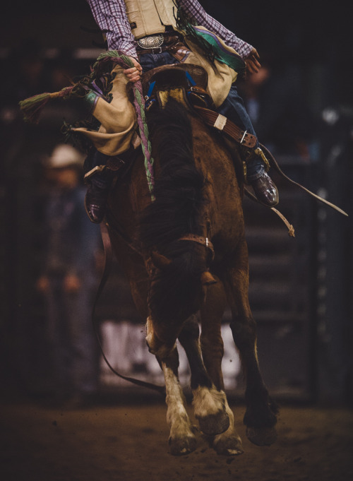 jeffreykedwards - Texas rodeo….