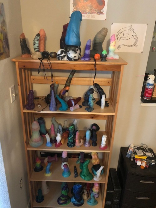 1000th post :D here’s a picture of my dildo shelf that my boyfriend took