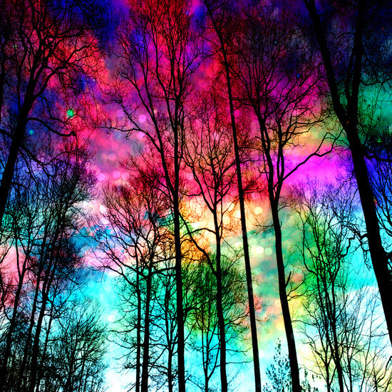 bestof-society6:    ART PRINTS BY HAROULITA    magical path   Colorful sky   starry