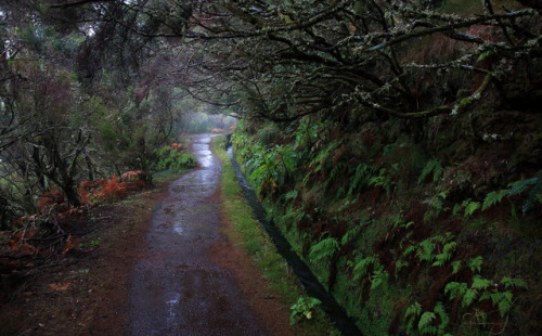 Caminho do Pináculo e do Folhadal by Ricardo PestanaFacebook | 500px | Instagram