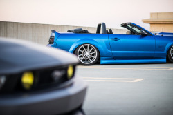 automotivated:  DSC_0375 by Rob Rabon Photography on Flickr.