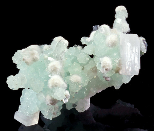 Green Prehnite with Apophyllite and Okenite - Pune District, Maharashtra, India