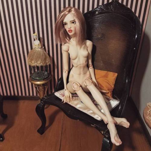 semiotickitten:My beautiful new girl #bjd #legitbjd #pashapasha #balljointeddoll #dollsofinstagram #