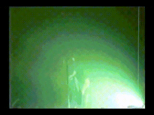 NI / Trent Being Destructive Excerpts / Closure VHS / Self-Destruct And Further Down The Spiral Tours