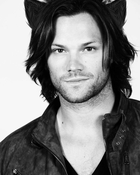 lovelythingsandcats:  rnorningvvood:  i-am-superjohnlocked:  but look at jared it