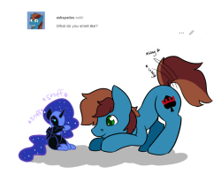 smallbluesnout:mini-scare-moon:Well, strange blue one, I obviously smell like vengeance with a hint of eternal night!!! *sniffsniff* And I detect apple as well…huh…It is like a condensed Princess Luna!x3! Too cute~!