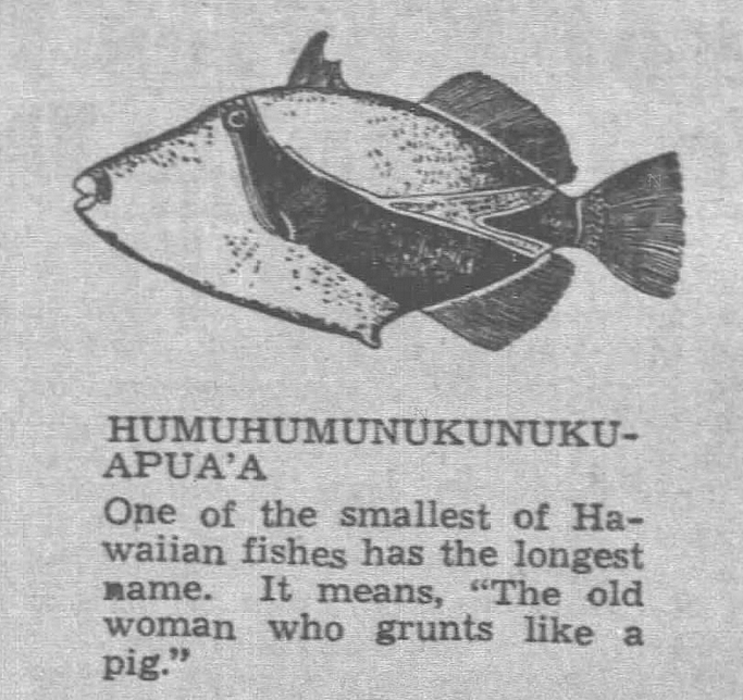 yesterdaysprint: Honolulu Star-Bulletin, Hawaii, July 11, 1943
