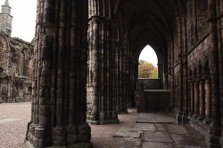 ghostlywatcher:    Holyrood Abbey. Edinburgh,