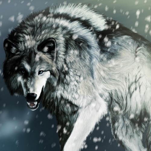 Arya Month Day 2: Nymeria