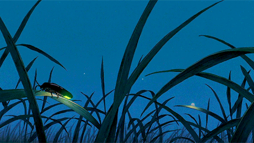 sandraoh - Grave of the Fireflies (Hotaru No Haka) 1988, dir....