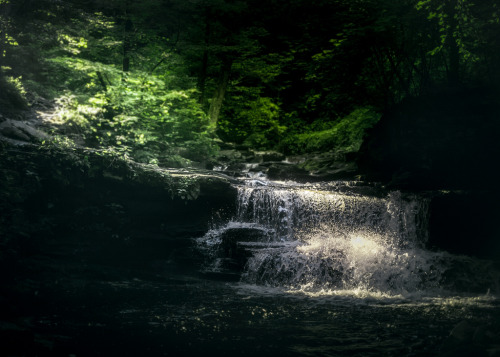 colingallagher: Ricketts Glen Waterfalls Colin Gallagher | Facebook | Twitter | Flickr | Store