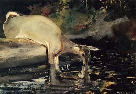 XXX bestiario:  Winslow Homer  photo