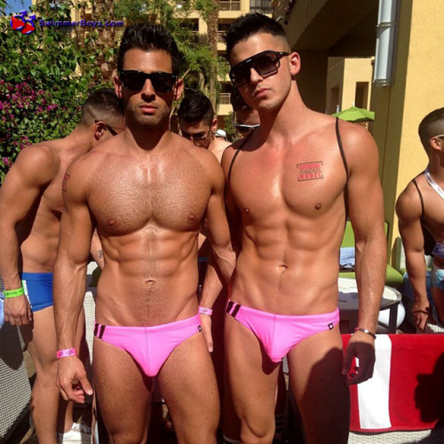 Dedicated Follower of Bulges