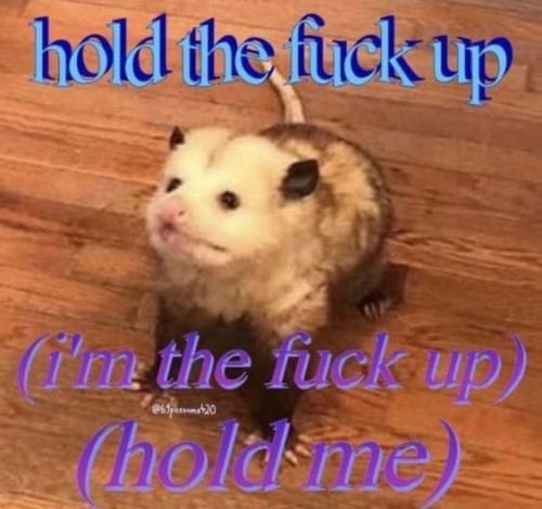 Opossums But From My Communication Meme Folder