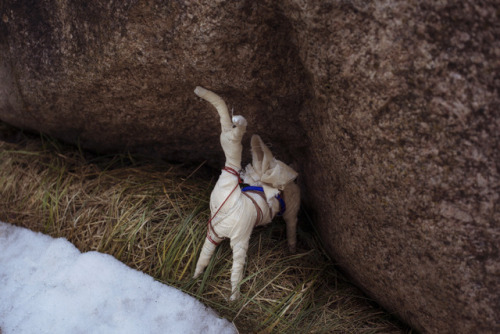 Did You Find Any Wooden Figures In The Wilds?