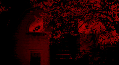 urmotheratemydog: There’s nothing like it on the market. Not at this price. (The Amityville Ho