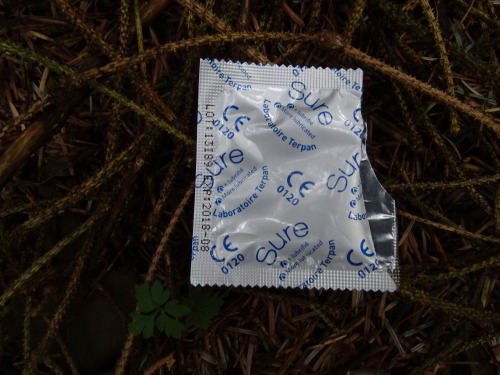throwncondom:  Autoroute Liège-Namur, parking près de fernelmont, bois de sapin ½, avril 2015.  Le parking est très grand et il y a trois places de baise pour les mecs… En face des wc publics, un trou dans le grillage donne accès à un petit bois