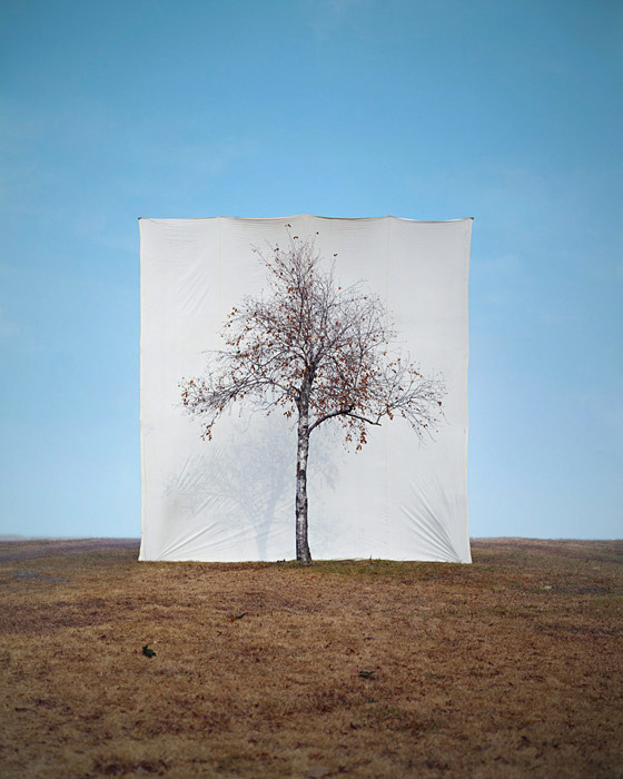 nevver:  “I secretly think reality exists so we can speculate about it” — Slavoj