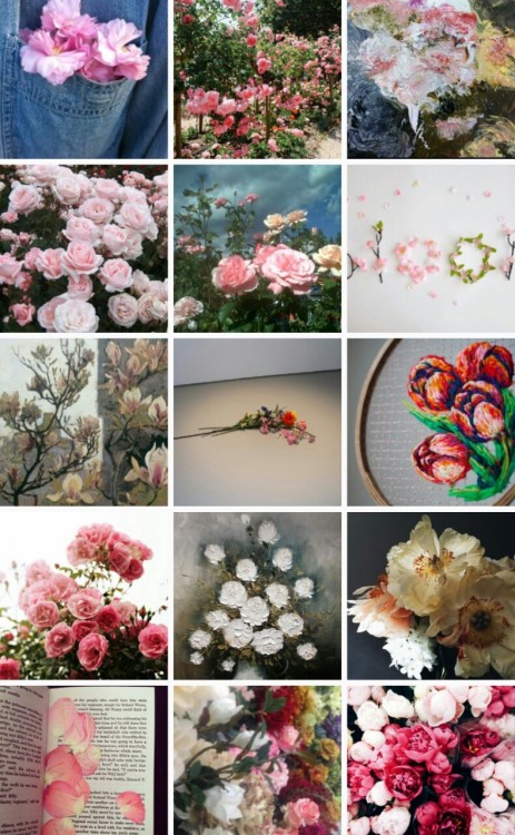 fashtonsense: ASTROLOGY AESTHETIC pt. 2 - virgo