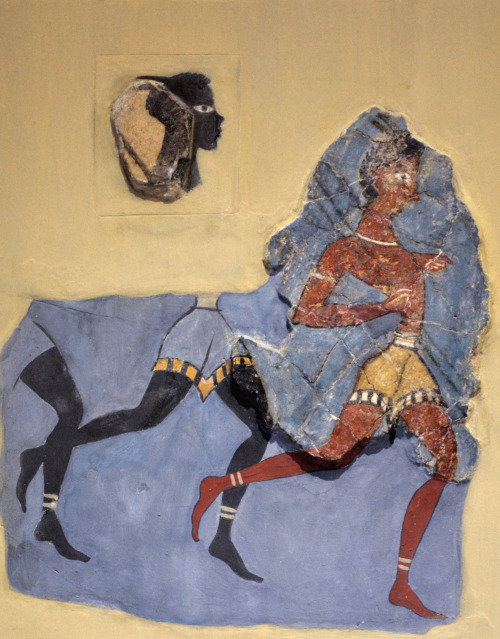 greek-museums:Archaeological Museum of Heraklion:Fragment of a fresco probably depicting a running m