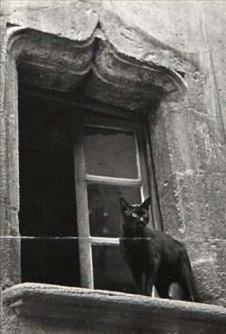secretcinema1:  Cat in a Window, c1930s, Brassaï