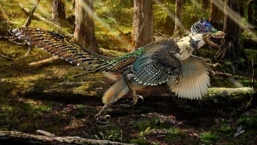 XXX typhlonectes:  ‘Big Bird’ dino: Researchers photo
