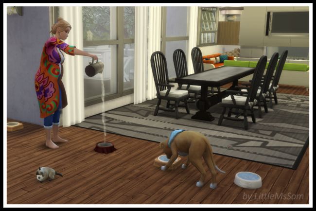 Littlemssam S Sims 4 Mods Working Pet Water Bowls Cats Dogs With Cats