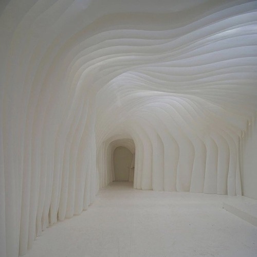 disease:Olga Sanina & Marcelo Dante, House of Book, 2010