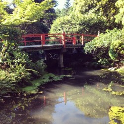 Shot at a gorgeous Japanese Garden this morning!! 🌿🎌 (at Kubota Garden)