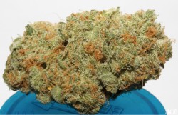 spaceyweed:  Bubble Gum: Hybrid Strain Follow SpaceyWeed for more! Click for the best Bongs, Papes, Accessories here! 
