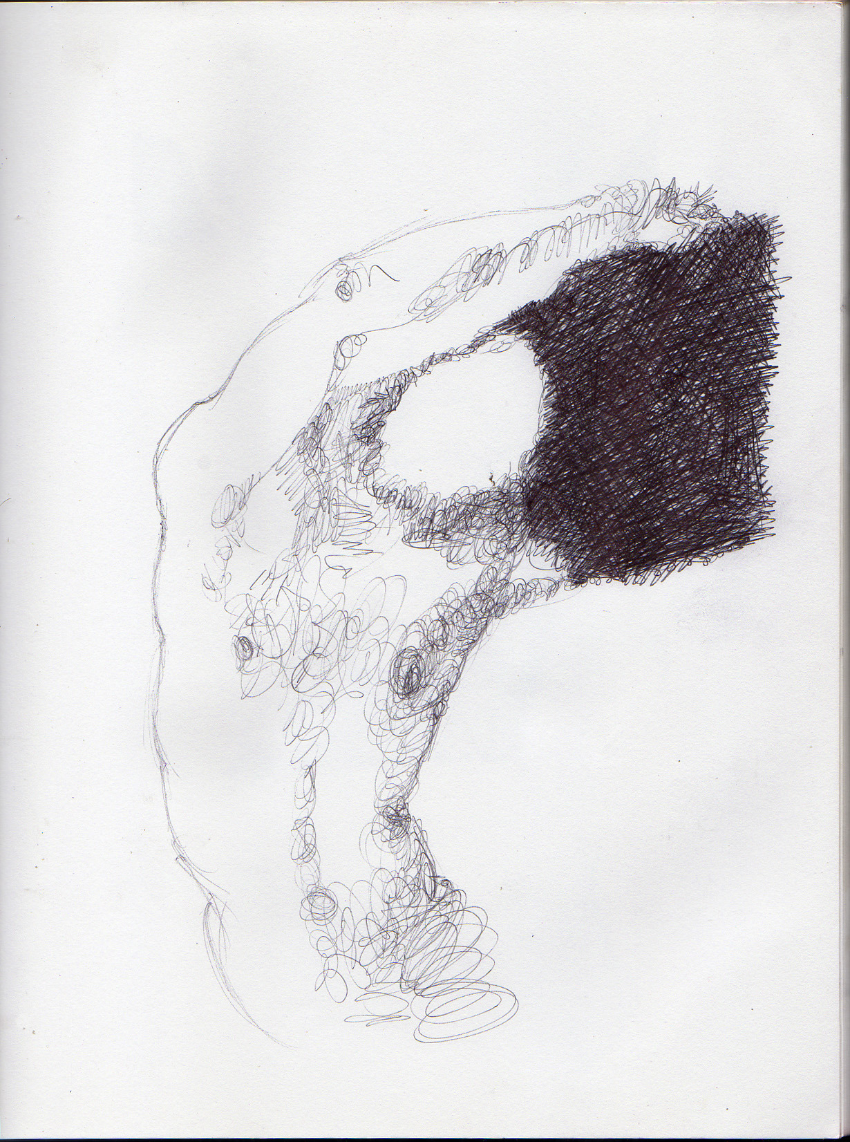 freystupid:  boceto en birome // pen sketch