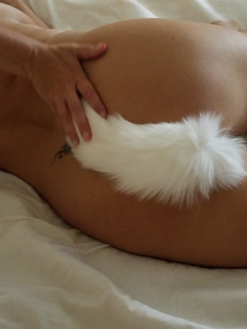 babeegirllove: Daddy and I love the new tail! @daddyandpet0001 Forever Daddy’s