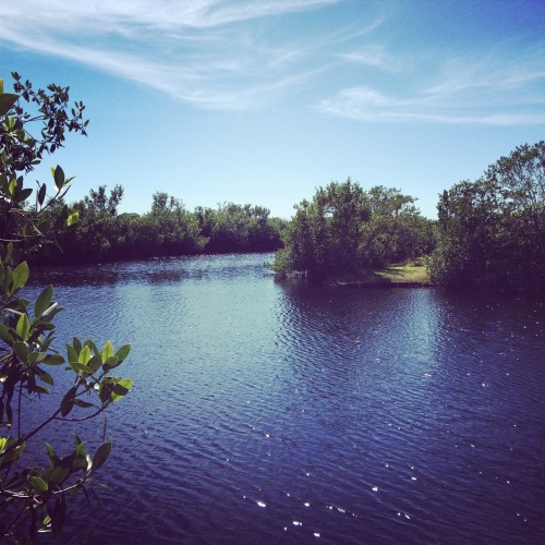 Big Cypress State Park, FL