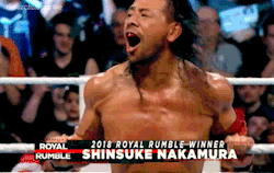 Thearchitectwwe:  2018 Royal Rumble Winner
