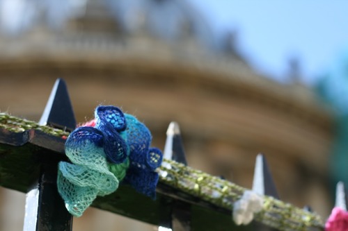 Guerilla knitting in Radcliffe Square, Oxford. I almost walked straight past these - I only stopped 