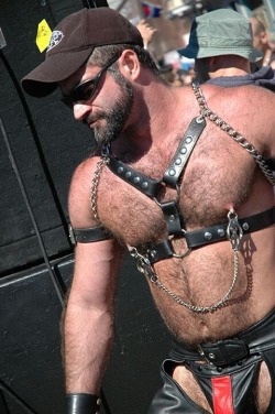 Celtic Furry
