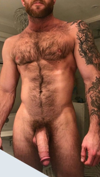 XXX Hairy & Erect Bears In Vision photo