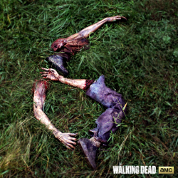 walkingdeadamc:  There’s more Dead ahead! AMC has renewed The Walking Dead for a sixth season!