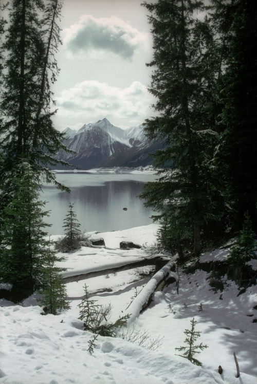 zptp:Medicine Lake Jasper 1990 (by Gord McKenna)