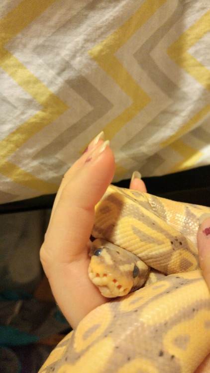 staticpoison:What a fat idiot. I love him