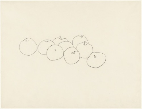 Ellsworth Kelly Apples || Paris, 1949 || Pencil on paper || 17 x 22 1/8" (43.4 x 56.4 cm)