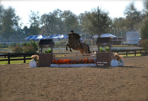 ©Tiana.Chapman Photography HITS Ocala 2013