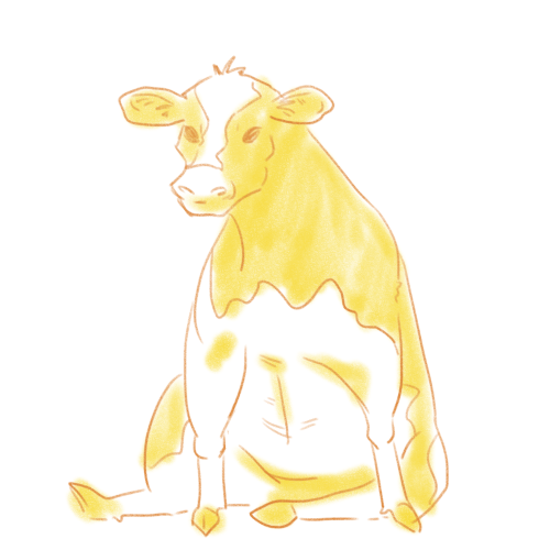 freshwaterbear:more cows from my daily cow challengei post a cow to my instagram story every day :)